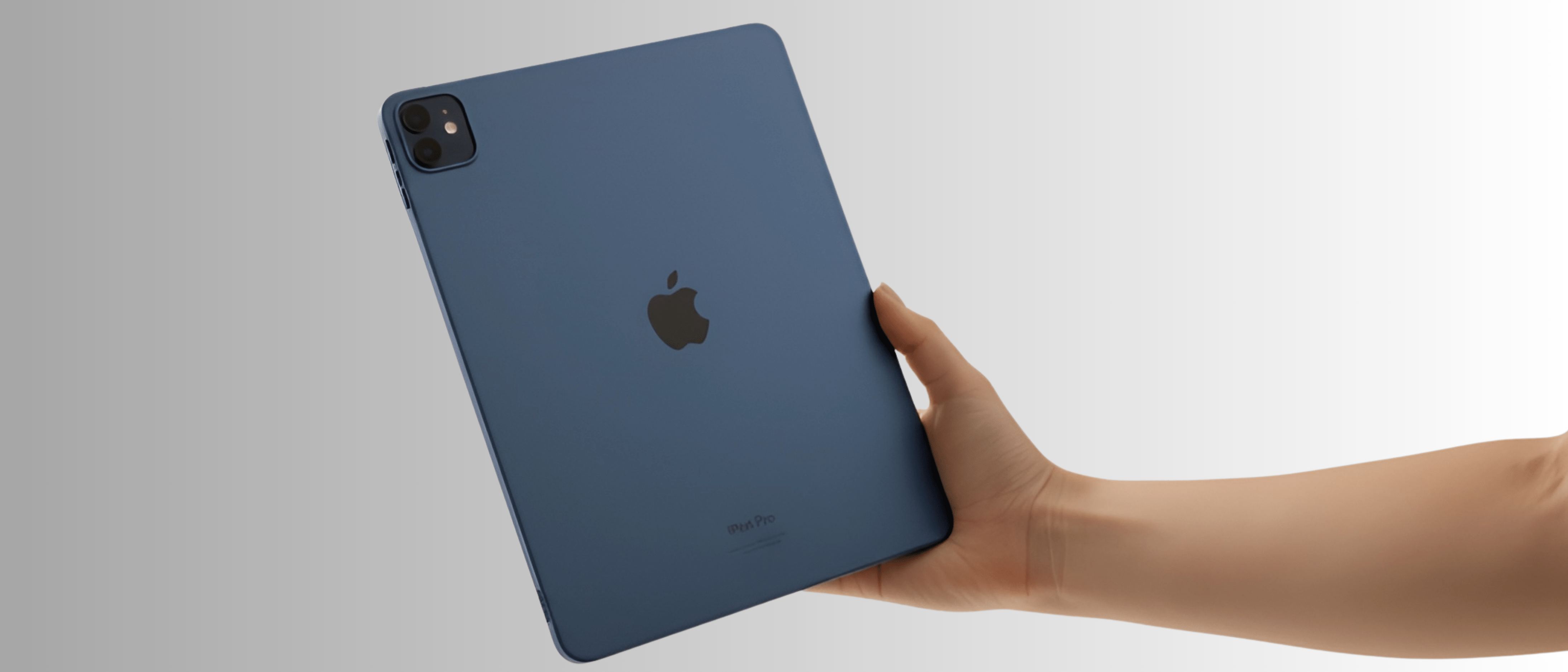 LCDLC>Apple>Funda iPad Pro 11